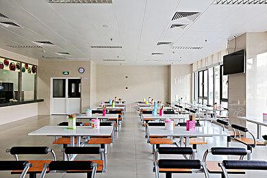 华大集团CEO：基因编辑技术可在猪身上生产出人心